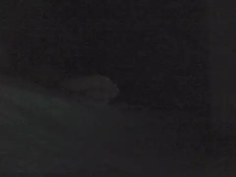 sarahkat86 online show from October 30, 1:01 pm