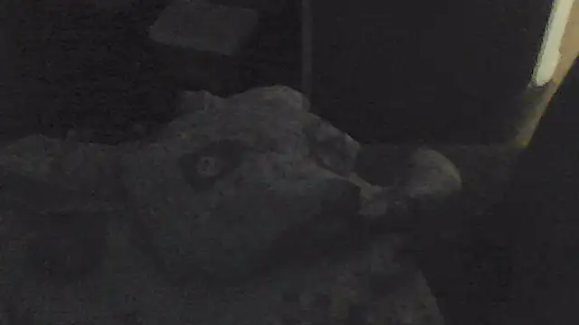 sarahkat86 online show from November 13, 2:05 pm