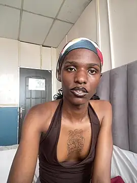 Trans fairy online show from February 13, 1:07 pm