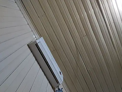 Snapshot of Gustavo198045 chatting on February 13, 6:53 am Gustavo198045 online show from February 13, 6:53 am