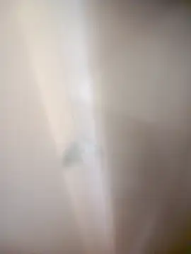 bullut06 online show from February 20, 9:32 am