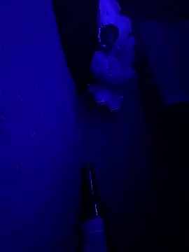 Snapshot of MikeFake chatting on February 19, 1:45 am MikeFake online show from February 19, 1:45 am