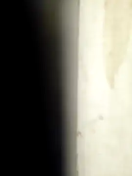 Sonalihot  online show from March 1, 1:46 pm