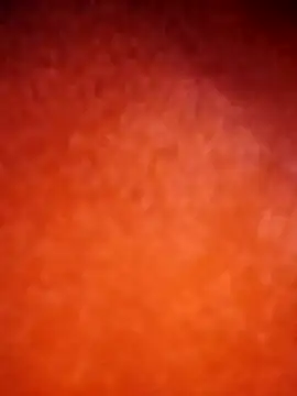 amolicars online show from November 21, 7:45 pm