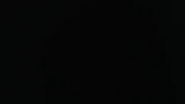 sensualduo online show from February 21, 5:35 am