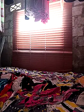 Aley 2025 online show from November 20, 4:07 pm