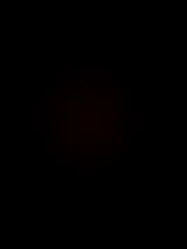 armandoluisorrrkw3323 online show from April 11, 12:37 am