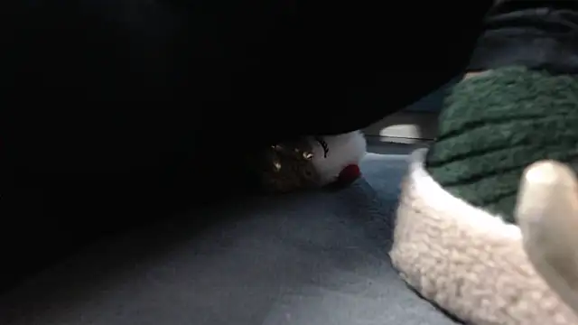 Snapshot of aellabeyonce chatting on December 5, 2:36 pm aellabeyonce online show from December 5, 2:36 pm