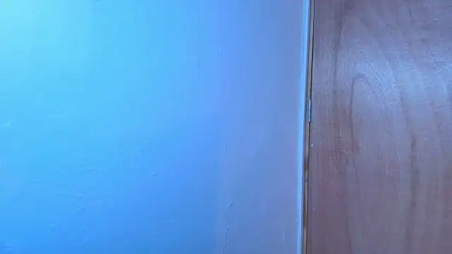 Terraelowen online show from February 15, 11:19 am