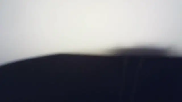 Terraelowen online show from March 21, 1:26 pm