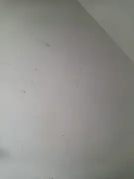 iamlalamilano online show from March 29, 3:01 pm