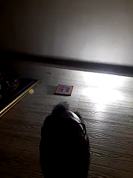 Snapshot of Hot-boy077 chatting on February 4, 4:13 pm Hot-boy077 online show from February 4, 4:13 pm