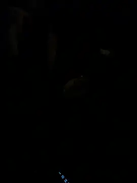 HorneyCowboy154 online show from February 25, 4:11 am