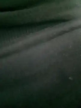 Rose 194 online show from October 14, 1:12 pm