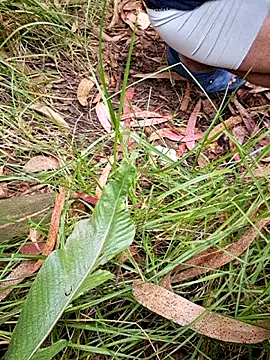 Snapshot of maxvergo chatting on April 15, 9:37 pm maxvergo online show from April 15, 9:37 pm