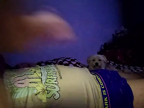 Snapshot of Alexandra23d chatting on October 2, 9:22 pm Alexandra23d online show from October 2, 9:22 pm