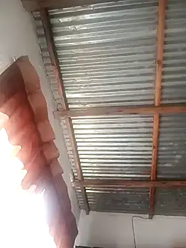 piipiipiipii online show from December 19, 1:07 pm