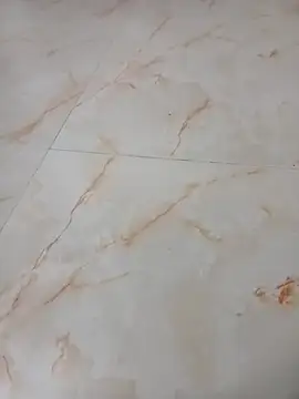 Samantaapu online show from November 16, 2:00 pm