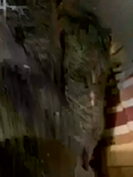 anhye8 online show from February 8, 3:37 pm