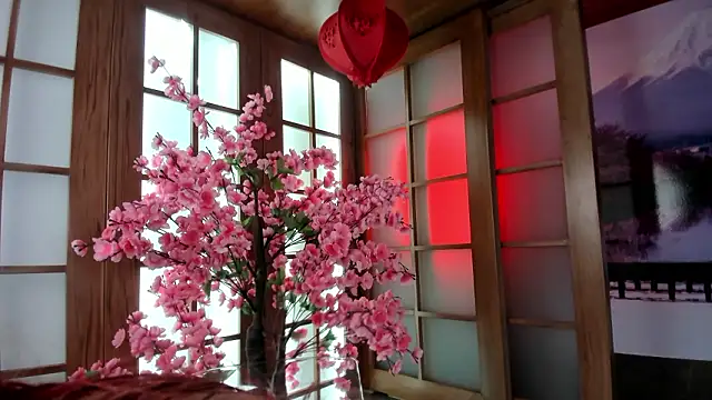 Snapshot of miss___abigail chatting on February 9, 2:04 am miss abigail online show from February 9, 2:04 am