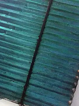 veronica and bryan online show from September 14, 3:49 am