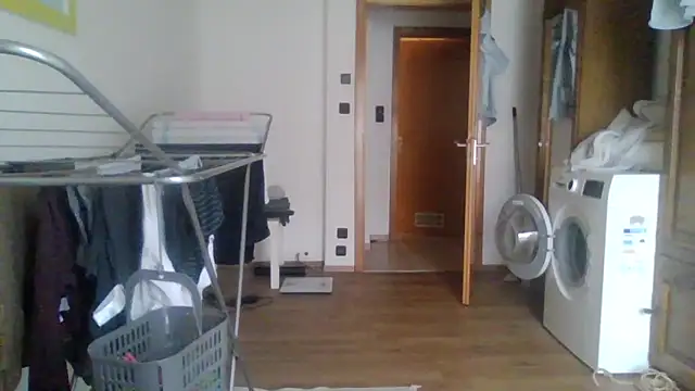 XLBarehengst online show from February 1, 1:20 pm