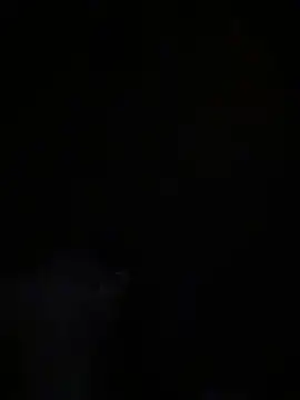 Lexi Storm online show from January 15, 5:45 am