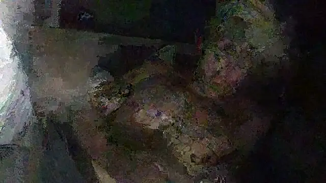 IsAparty online show from October 11, 5:28 am