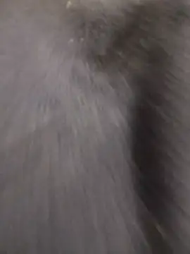 Funny Karina online show from December 15, 6:34 pm