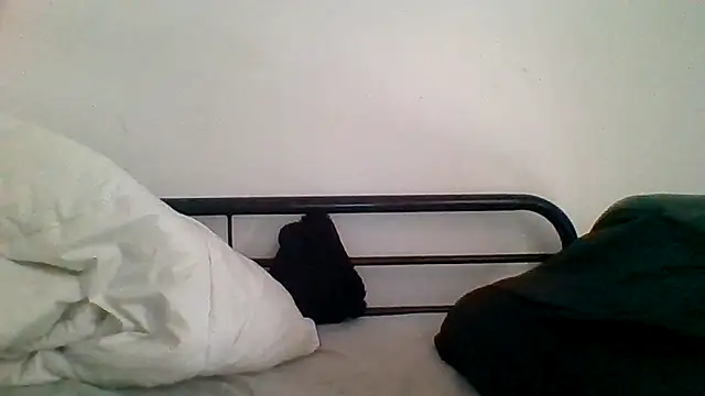 Snapshot of _she_was_a_fairy chatting on December 16, 1:49 pm she was a fairy online show from December 16, 1:49 pm