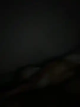 Smallboybigworld online show from February 11, 9:42 pm