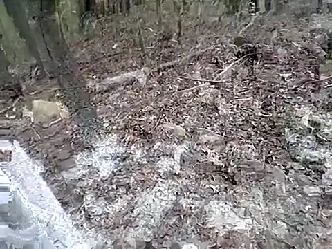 fischnet online show from September 20, 10:55 pm