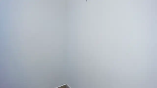 stephane rouss online show from November 18, 8:57 pm