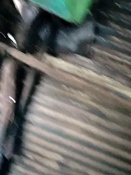 Hot-ilaiy online show from December 22, 3:36 am