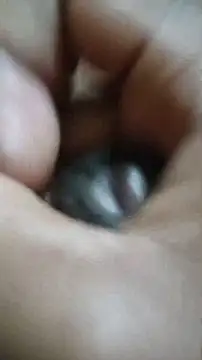 Vizgeboys online show from December 2, 6:03 pm