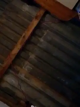 Snapshot of LUISSLEONN0958 chatting on September 25, 9:02 am LUISSLEONN0958 online show from September 25, 9:02 am