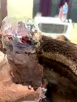 its Surya BBC online show from November 27, 12:40 pm