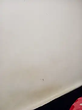 Snapshot of Dani_34velan chatting on October 6, 3:15 am Dani 34velan online show from October 6, 3:15 am