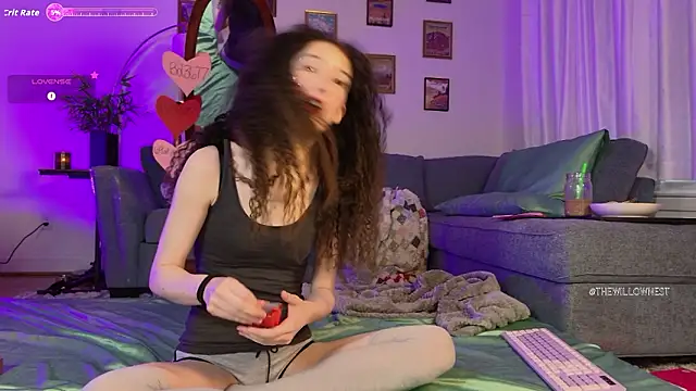 Snapshot of thewillownest_ chatting on February 6, 3:04 pm thewillownest online show from February 6, 3:04 pm