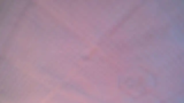 Snapshot of Liz_Hu chatting on December 14, 9:03 am Liz Hu online show from December 14, 9:03 am