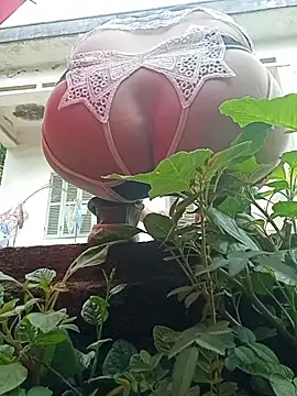 July-Asian online show from May 24, 12:48 am