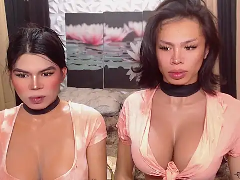 WILDROXIE online show from December 16, 4:17 am