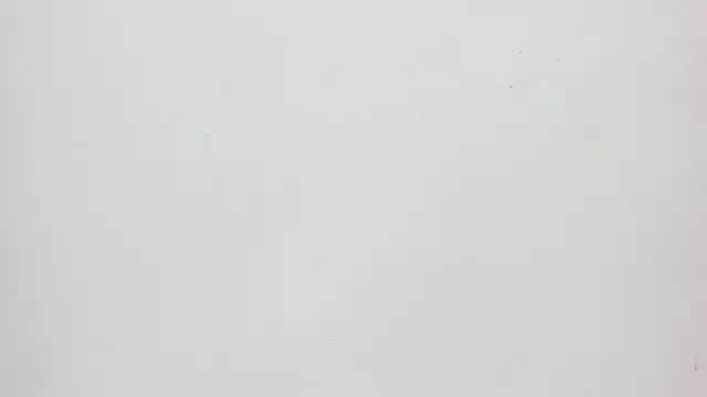 Saammy 17 online show from September 20, 8:21 pm