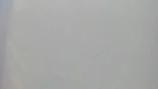 Saammy 17 online show from September 25, 8:23 pm