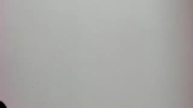 Saammy 17 online show from October 2, 8:16 pm