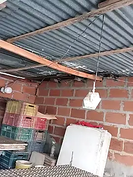 hoteder online show from December 4, 12:47 pm