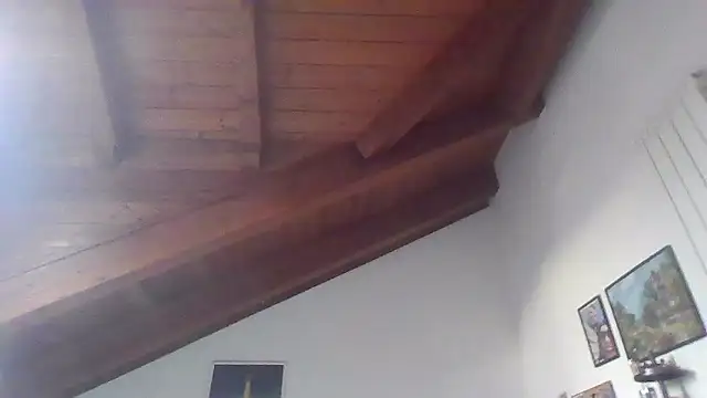 Snapshot of LadySophia03 chatting on January 10, 11:01 am LadySophia03 online show from January 10, 11:01 am