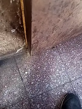 lucho2328 online show from September 10, 7:14 pm