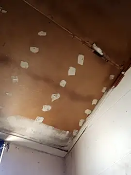 lucho2328 online show from November 11, 7:47 pm