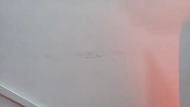 Lizbeth Rouse online show from October 24, 10:44 am